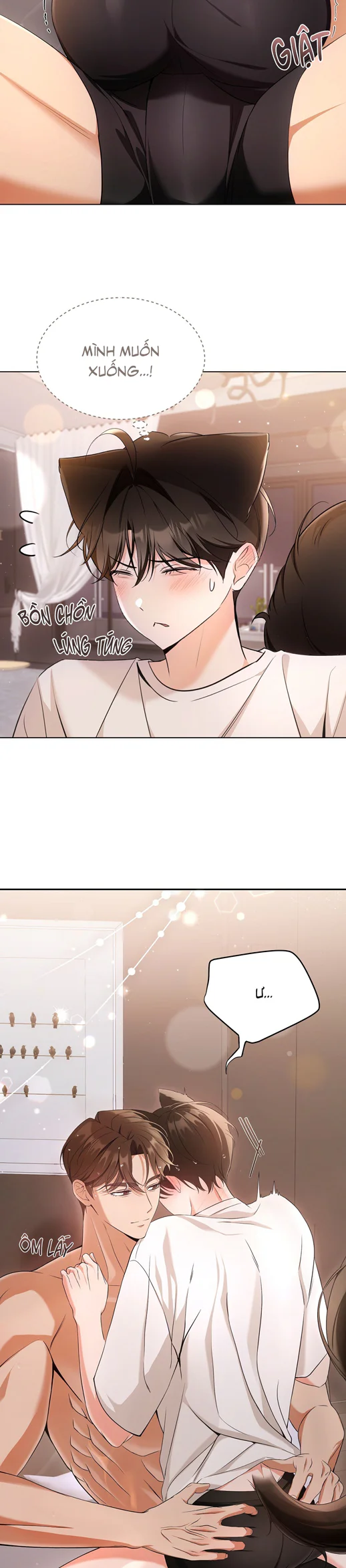 Liệu Pháp Trị Liệu Mèo Chapter 17 Trang 14