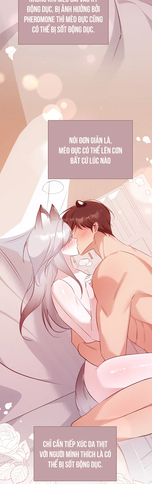 Liệu Pháp Trị Liệu Mèo Chapter 18 Trang 27