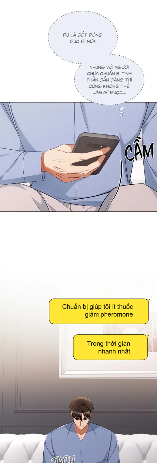 Liệu Pháp Trị Liệu Mèo Chapter 18 Trang 31