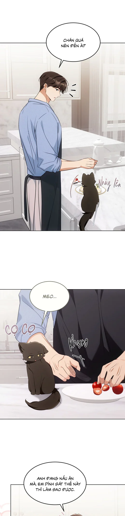 Liệu Pháp Trị Liệu Mèo Chapter 19 Trang 3