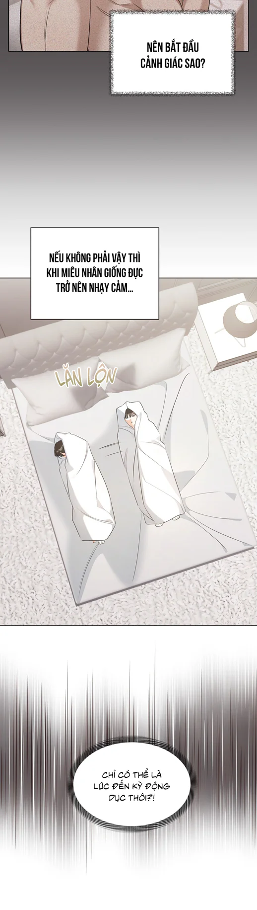 Liệu Pháp Trị Liệu Mèo Chapter 19 Trang 20