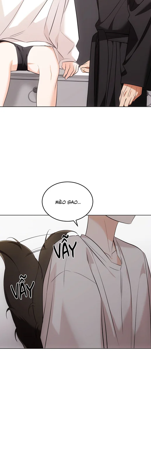 Liệu Pháp Trị Liệu Mèo Chapter 19 Trang 30