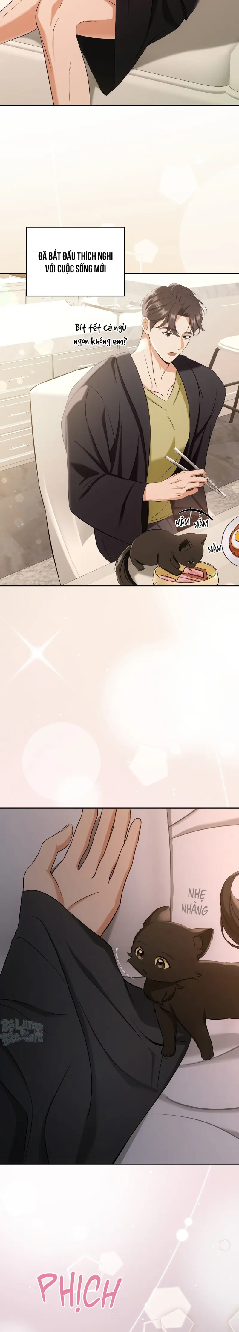 Liệu Pháp Trị Liệu Mèo Chapter 2 Trang 12