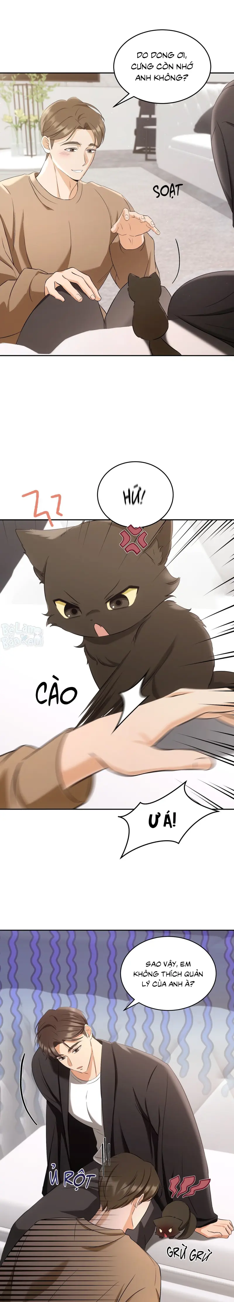 Liệu Pháp Trị Liệu Mèo Chapter 2 Trang 15