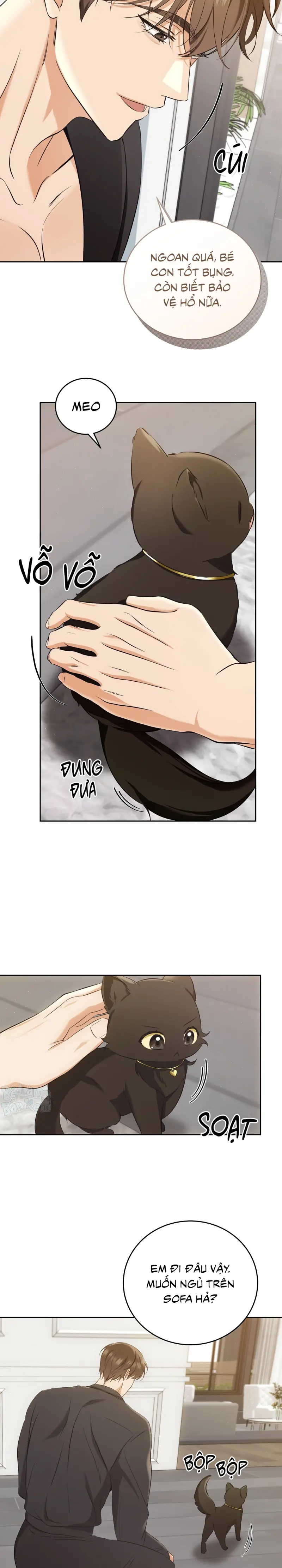 Liệu Pháp Trị Liệu Mèo Chapter 3 Trang 3