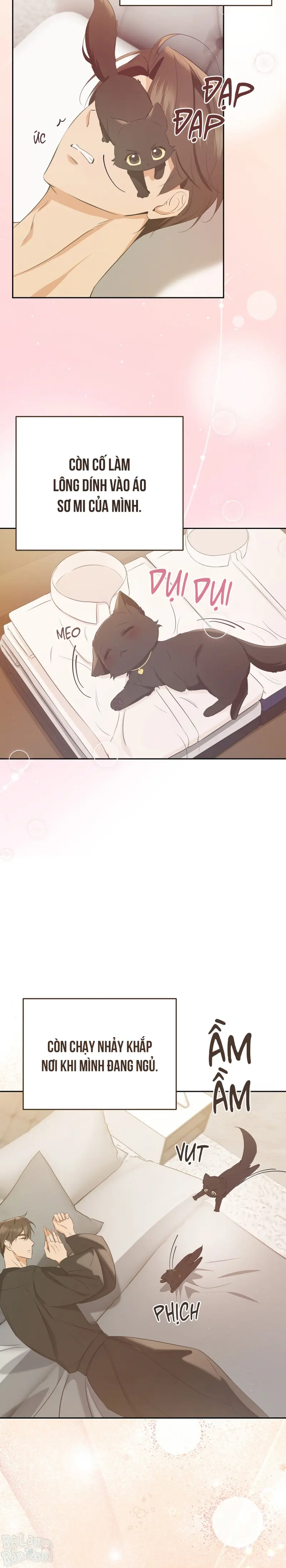 Liệu Pháp Trị Liệu Mèo Chapter 4 Trang 5