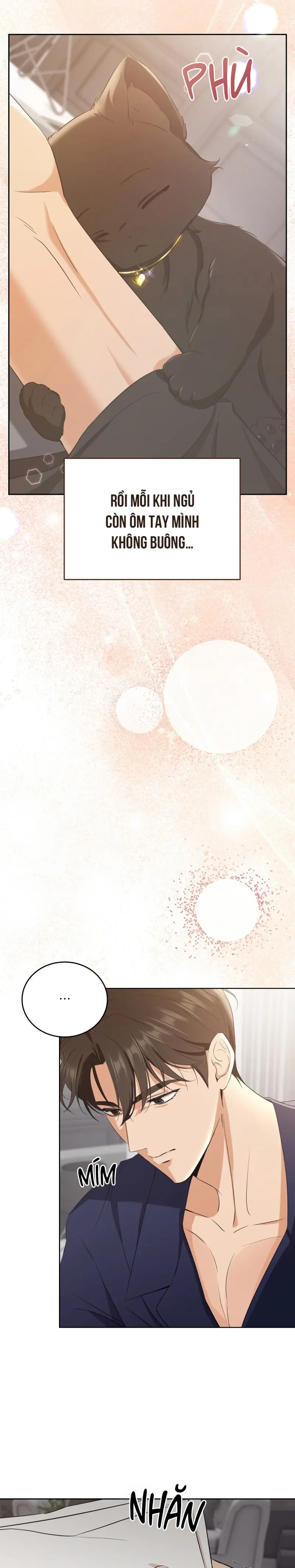 Liệu Pháp Trị Liệu Mèo Chapter 4 Trang 6