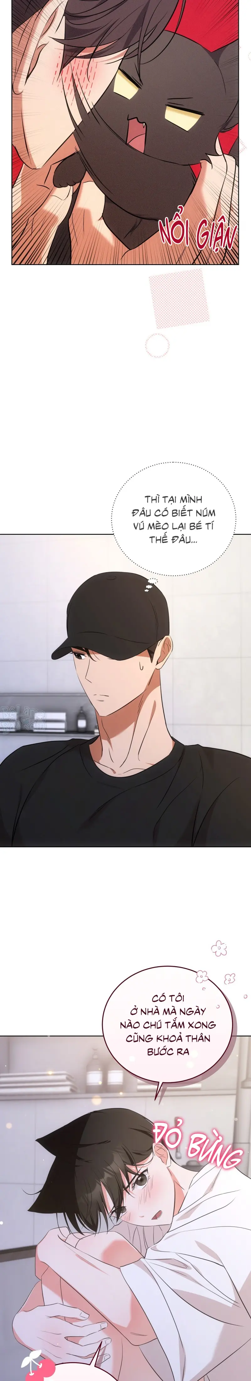 Liệu Pháp Trị Liệu Mèo Chapter 6 Trang 14