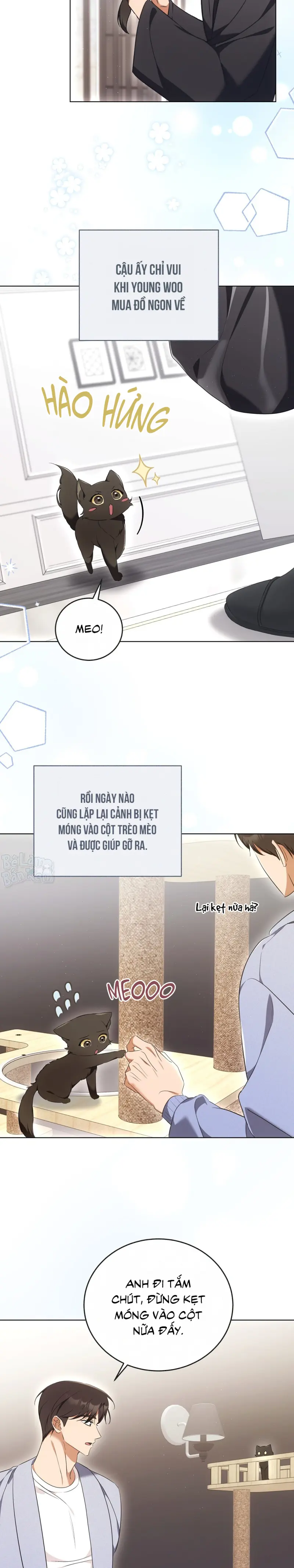 Liệu Pháp Trị Liệu Mèo Chapter 8 Trang 7