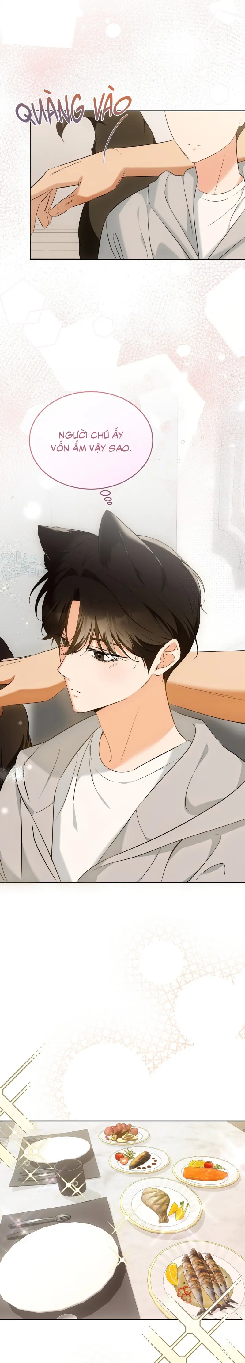 Liệu Pháp Trị Liệu Mèo Chapter 9 Trang 11