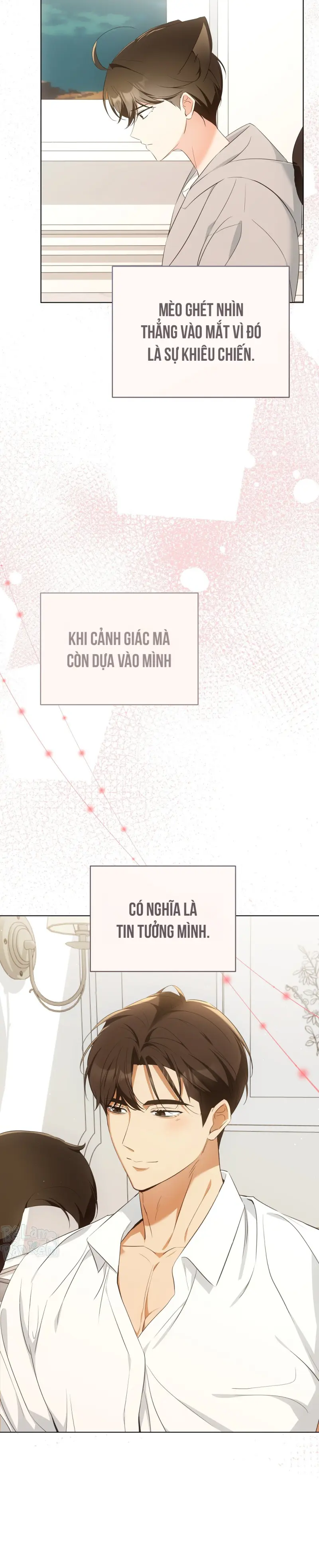Liệu Pháp Trị Liệu Mèo Chapter 9 Trang 16