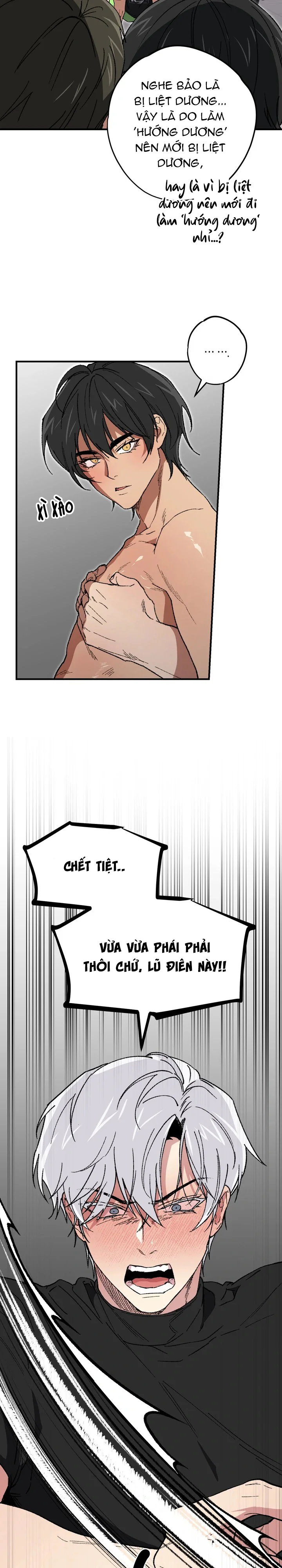 Tuyển Tập Manhwa Ngắn Bí Mật Cơ Thể Chapter 29 Trang 28