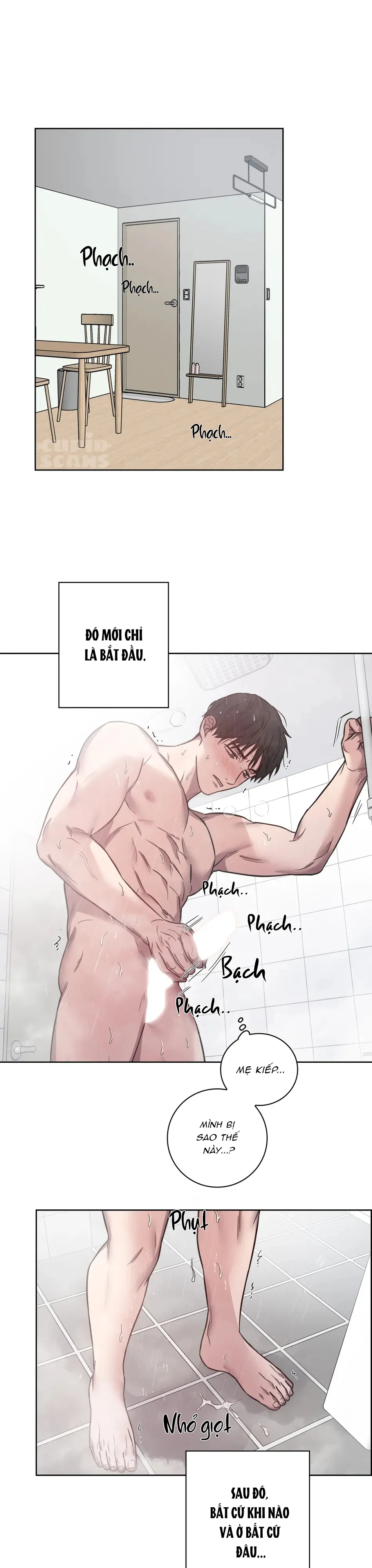 Tuyển Tập Manhwa Ngắn Bí Mật Cơ Thể Chapter 44 Trang 14