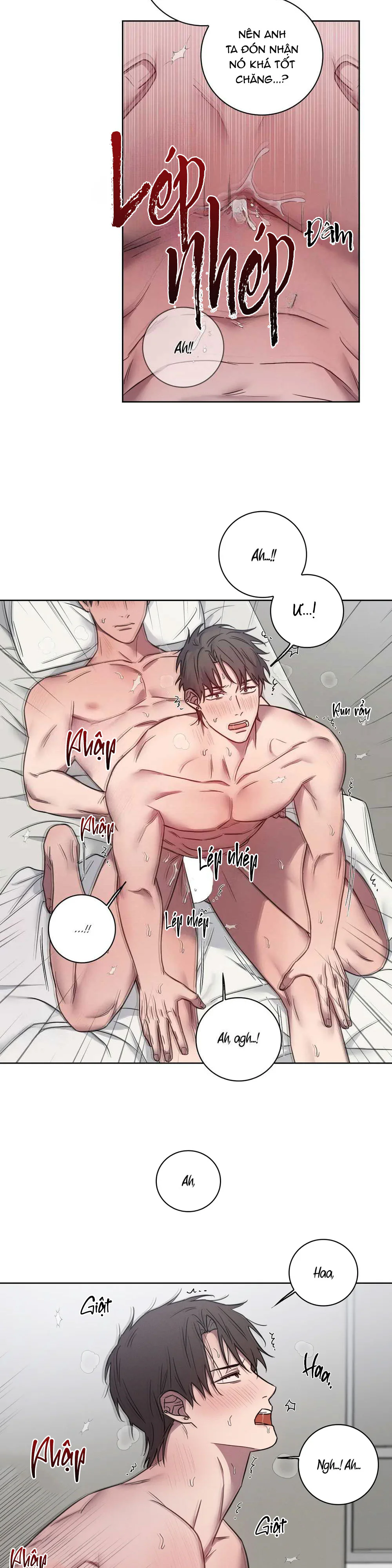 Tuyển Tập Manhwa Ngắn Bí Mật Cơ Thể Chapter 47 Trang 19