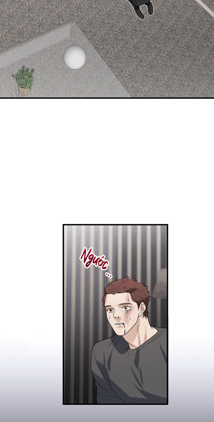 Tuyển Tập Manhwa Ngắn Nhà Mèo Chapter 16 Trang 20