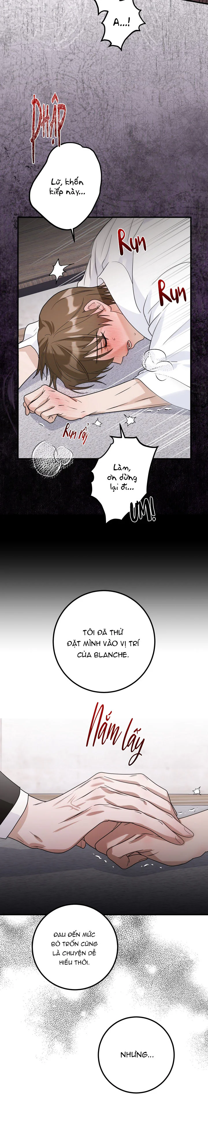 Tuyển Tập Manhwa Ngắn Nhà Mèo Chapter 17 Trang 27