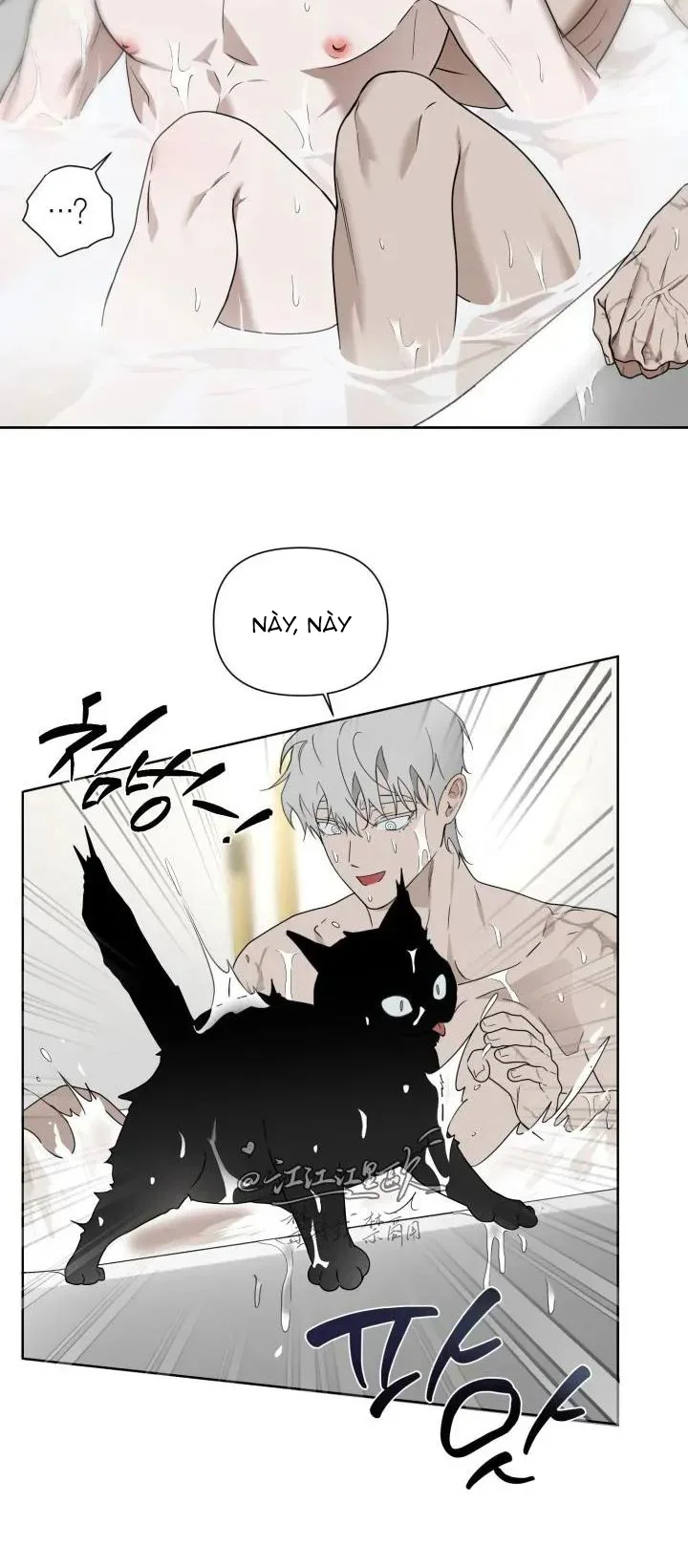 Tuyển Tập Manhwa Ngắn Nhà Mèo Chapter 7 Trang 10