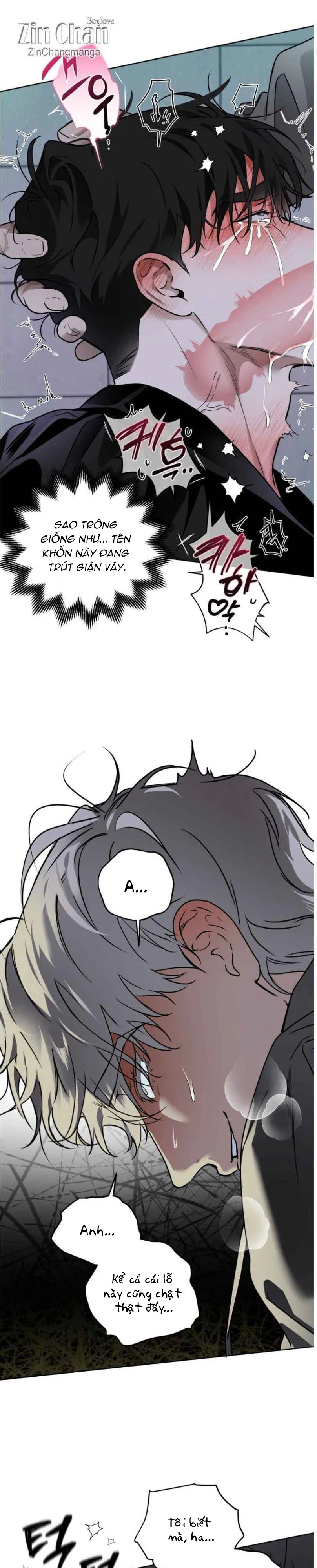 Tuyển Tập Manhwa Ngắn Nhà Mèo Chapter 8 Trang 31