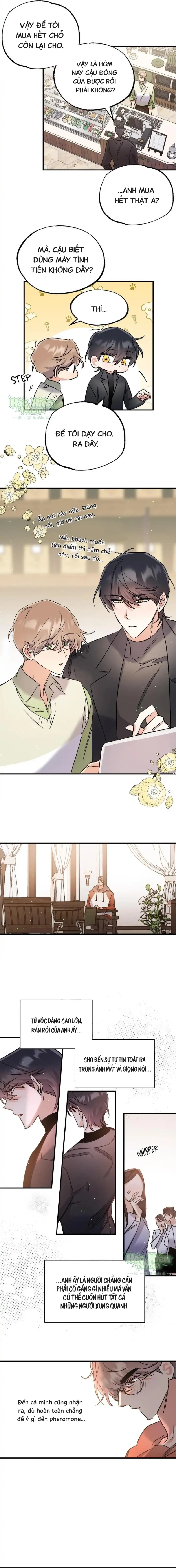 Vũ Trụ Nơi Thiên Thạch Rơi Chapter 10 Trang 3