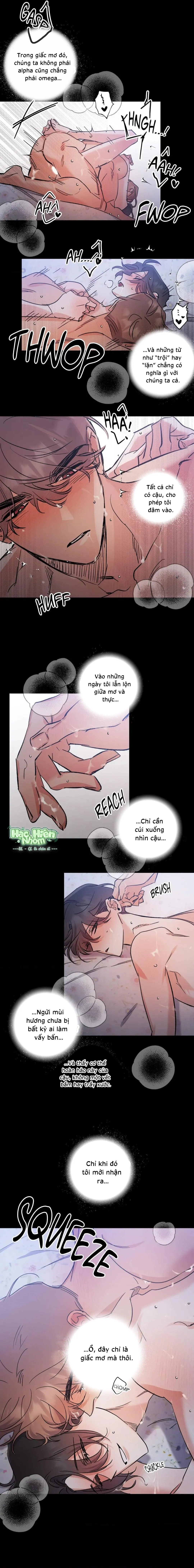 Vũ Trụ Nơi Thiên Thạch Rơi Chapter 8 Trang 8